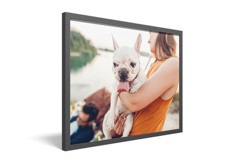 framed picture full view