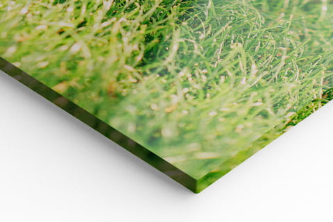 acrylic prints close-up