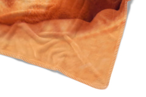 custom blanket full view